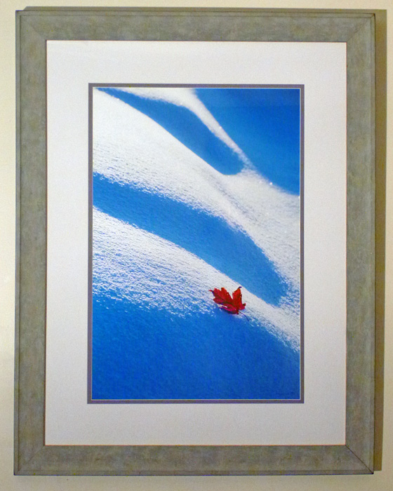 #4 Maple leaf on snow drift, 44x34" with frame