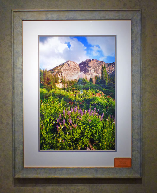#8 Albion Basin, Utah with wildflowers 44x34" with frame