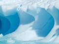 Iceberg in Antarctica - Image #167-432