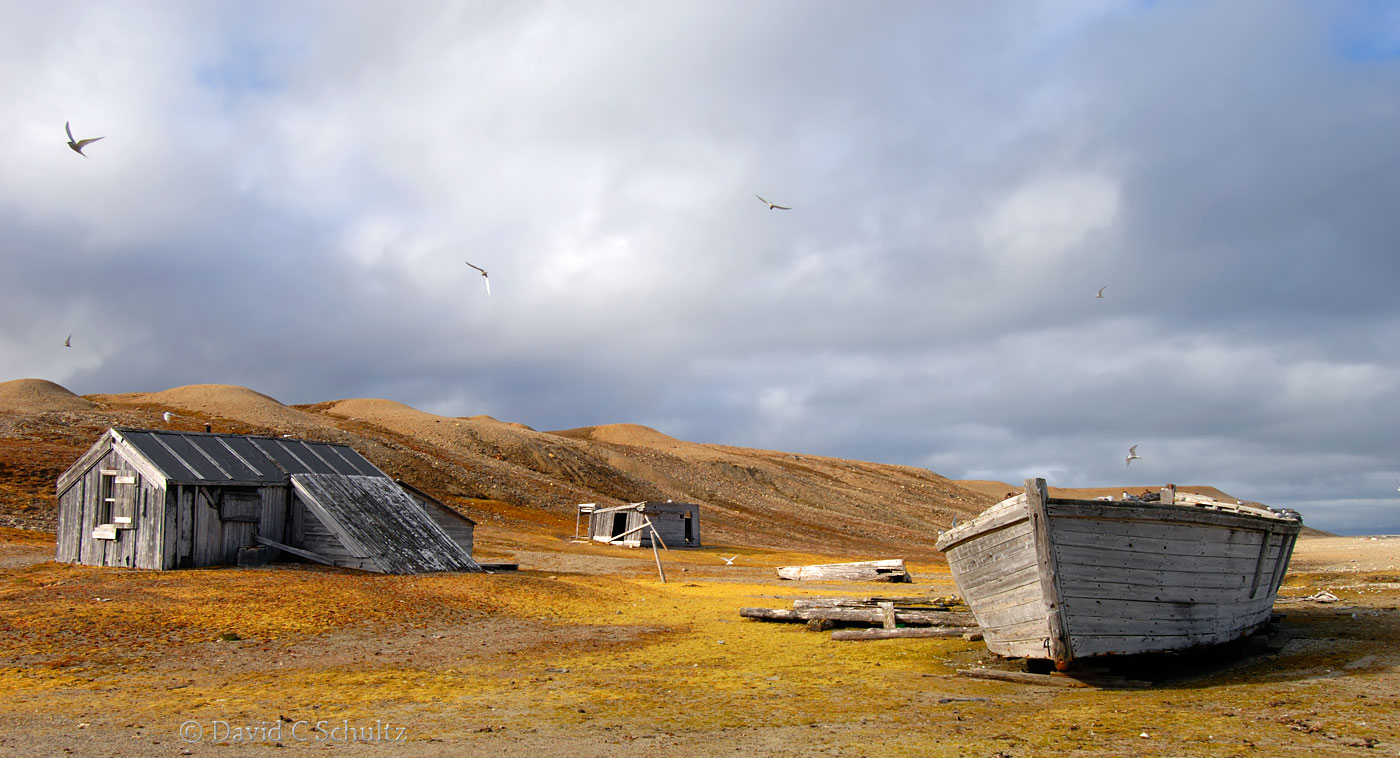 Fishing village in Svalbard, Norway - Image #16-531