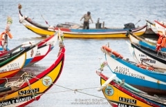 Moliceiro fishing boats Portugal - Image #16-979