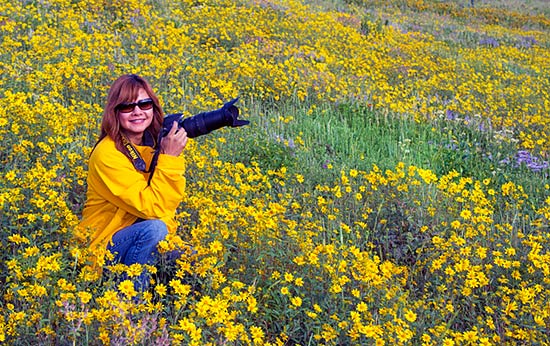 Wasatch Wildflowers and Wildlife Photography Tour
