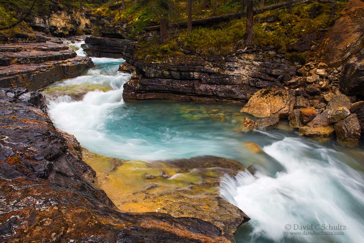 Beauty Creek, Jasper National Park - Image #125-783