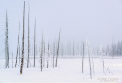 winter-yellowstone-national-park-106-2195
