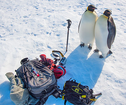 Antarctica camera gear list with emperor penguins