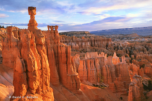 Autumn in Southern Utah Photography Tour at Bryce National Park, Utah