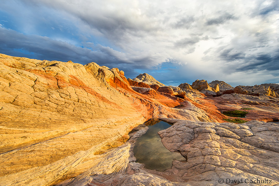 The White Pockets region of Paria Vermilion Cliffs National Monument, Arizona