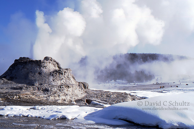 Yellowstone Photo Tours Winter 2015