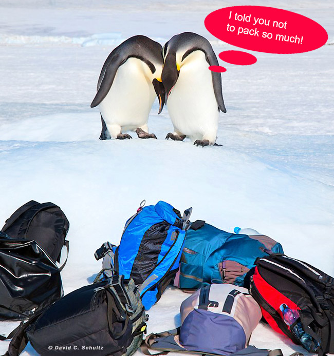 Antarctica travel tips when to go what to pack