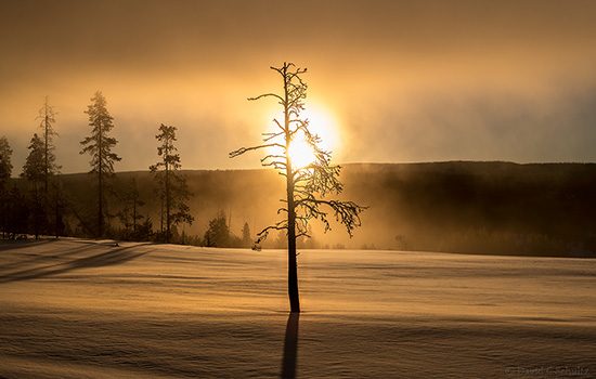 Sunrise at Terrace Spring in Yellowstone National Park in winter